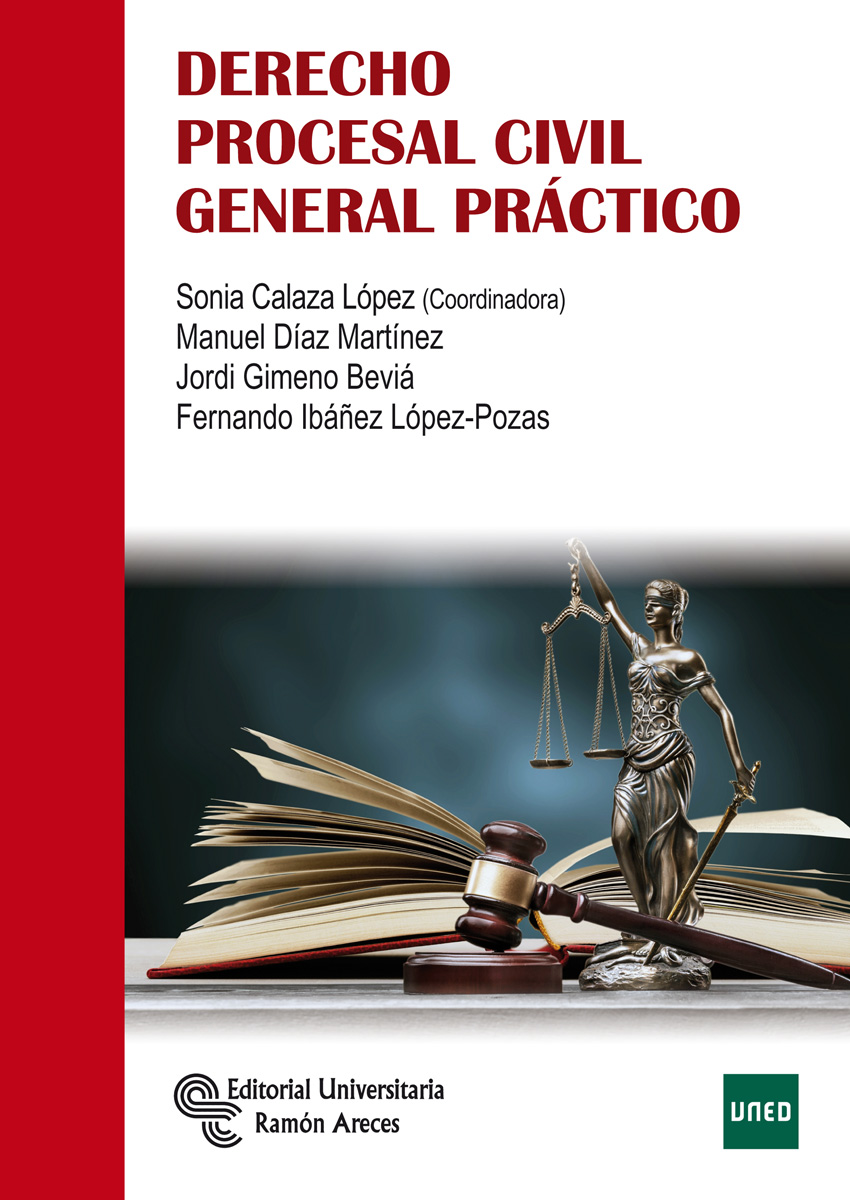 Derecho procesal civil general práctico