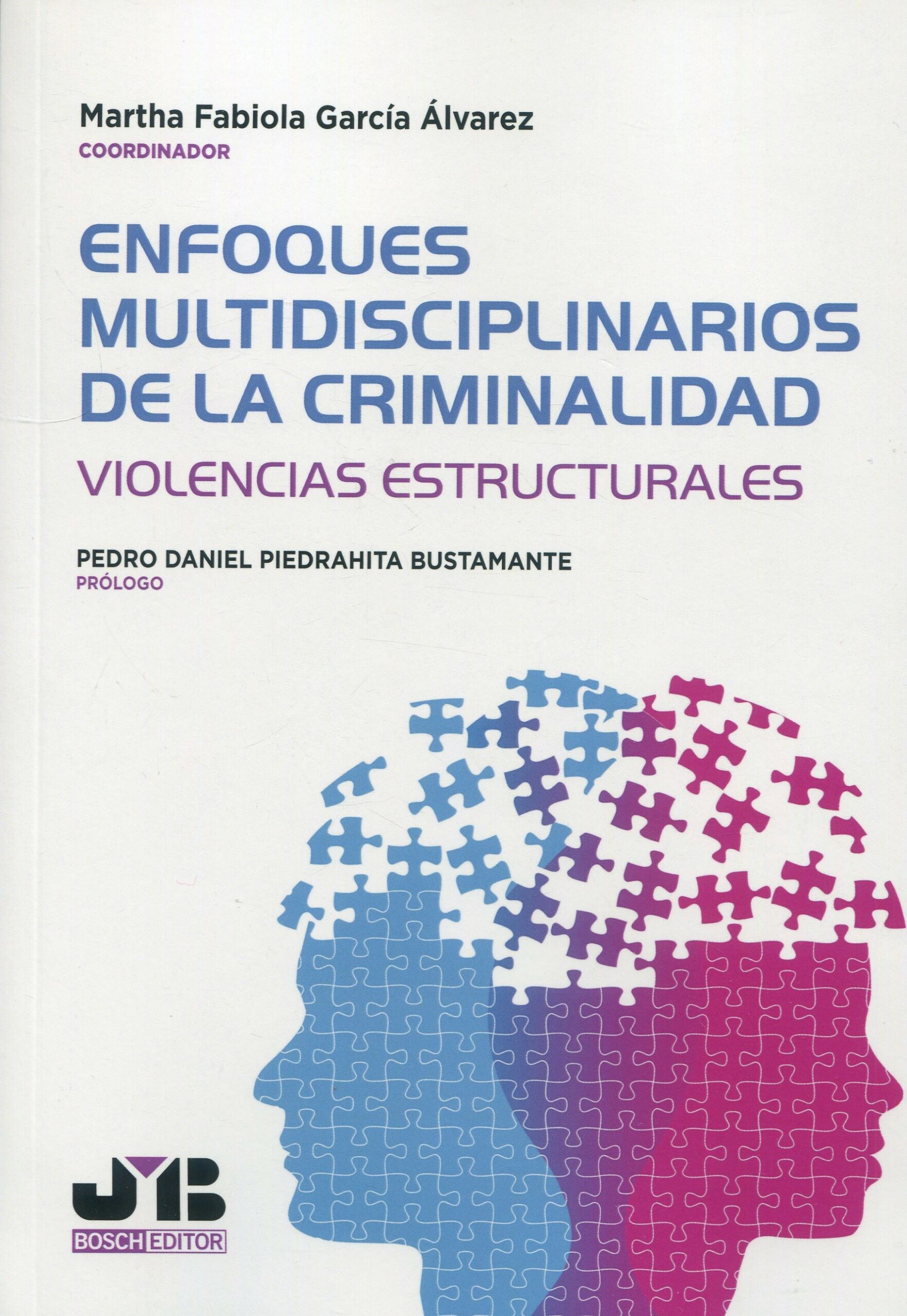 Enfoques multidisciplinarios de la criminalidad. 9788419045980
