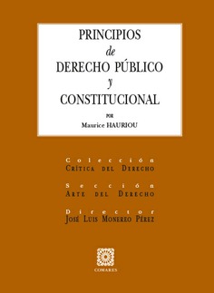 Principios de Derecho público y constitucional. 9788484447504