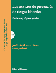 Los servicios de prevención de riesgos laborales. 9788498365627