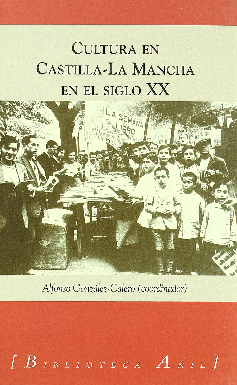 Cultura en Castilla-La Mancha en el siglo XX. 9788493485863