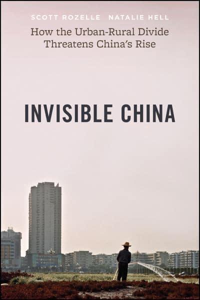 Invisible China. 9780226824017