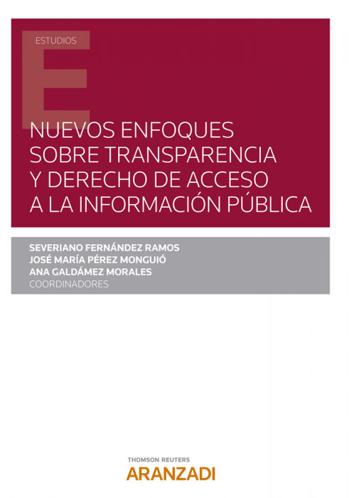 Nuevos enfoques sobre transparencia y derecho de acceso a la información pública. 9788413908168