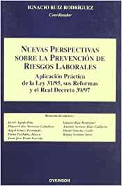 Nuevas perspectivas sobre la prevención de riesgos laborales. 9788497725200