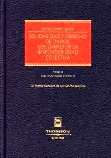 Solidaridad y Derecho de daños. Los límites de la responsabilidad colectiva. 9788447025138