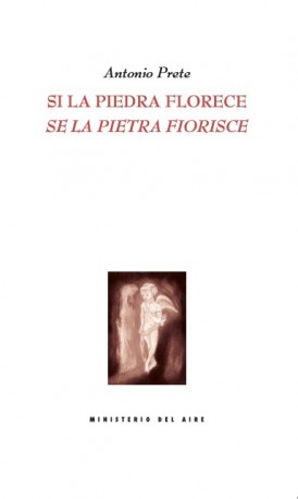 Si la piedra florece = Se la pietra fiorisce. 9788412327946