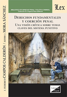 Derechos fundamentales y coerción penal. 9789564071459