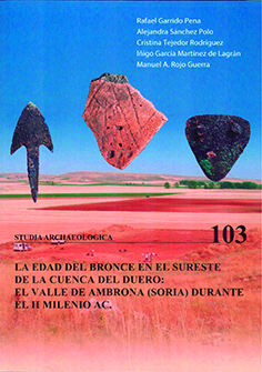 La Edad de Bronce en el sureste de la Cuenca del Duero. 9788413201658