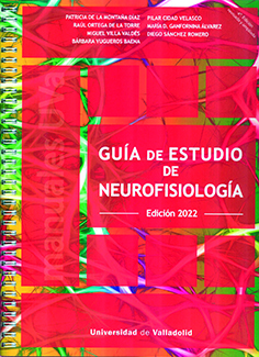 Guía de estudio de neurofisiología. 9788413201849