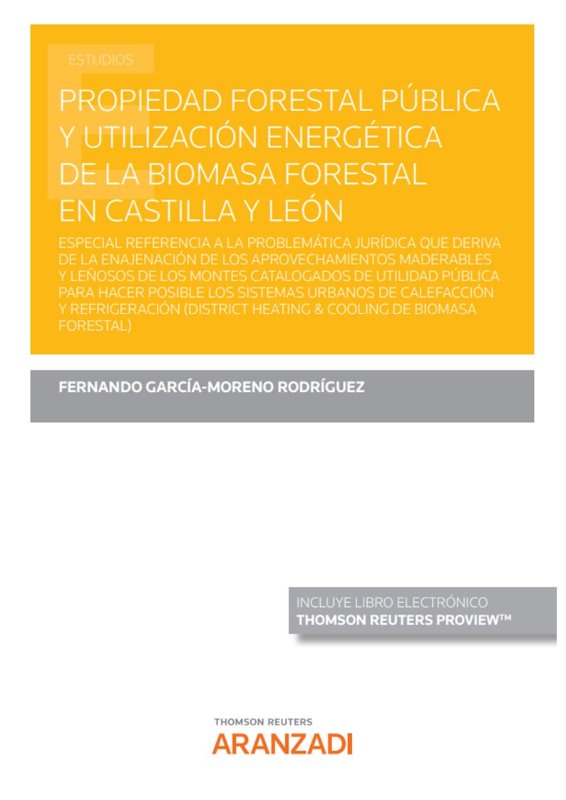 Propiedad forestal pública y utilización energética de la biomasa forestal en Castilla y León. 9788413086804