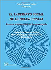 El laberinto social de la delincuencia. 9788498493405