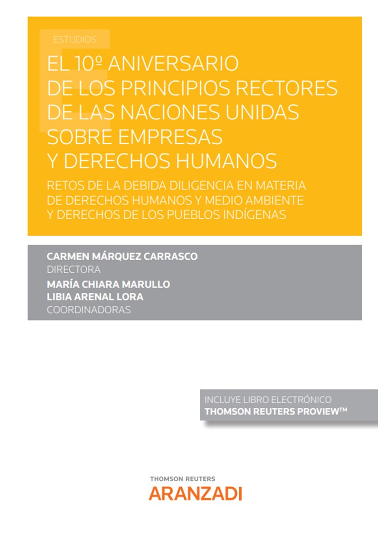 El 10º Aniversario de los Principios Rectores de las Naciones Unidas sobre empresas y Derechos Humanos. 9788413917962