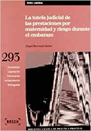 La tutela judicial de las prestaciones por maternidad y riesgo durante el embarazo. 9788471629678