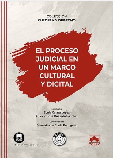 El proceso judicial en un marco cultural y digital. 9788411940894