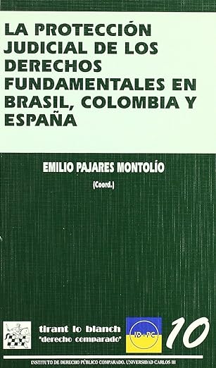 La protección judicial de los derechos fundamentales en Brasil, Colombia y España. 9788484564805