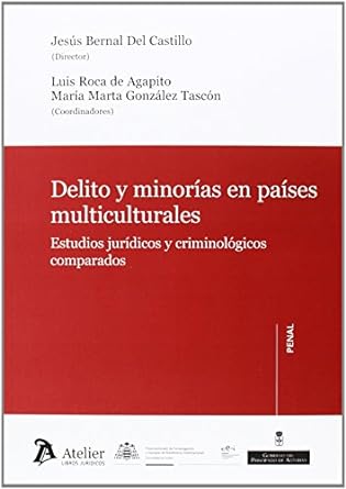 Delito y minorías en países multiculturales