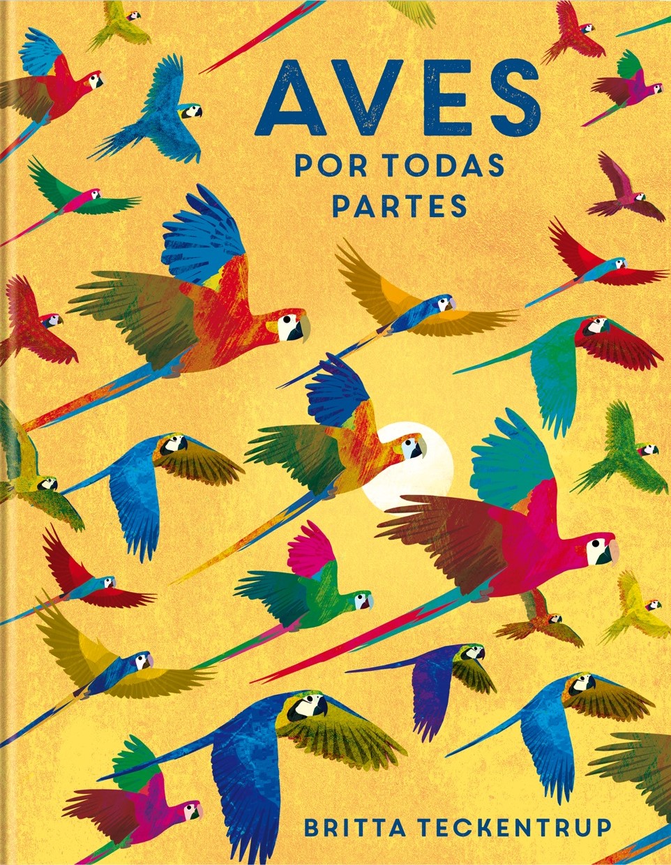 Aves por todas partes