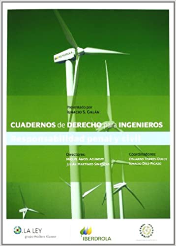 Responsabilidad penal y civil. 9788481262476