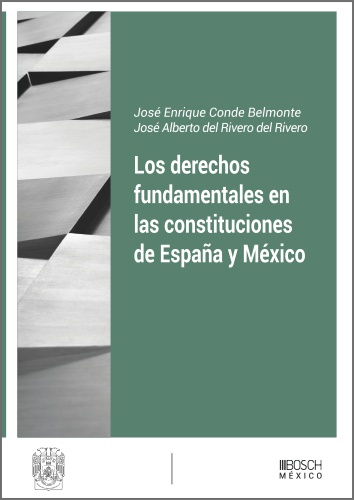 Los derechos fundamentales en las constituciones de España y México. 9788490906699