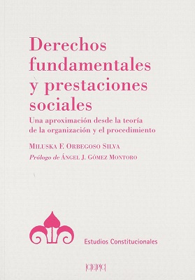 Derechos fundamentales y prestaciones sociales