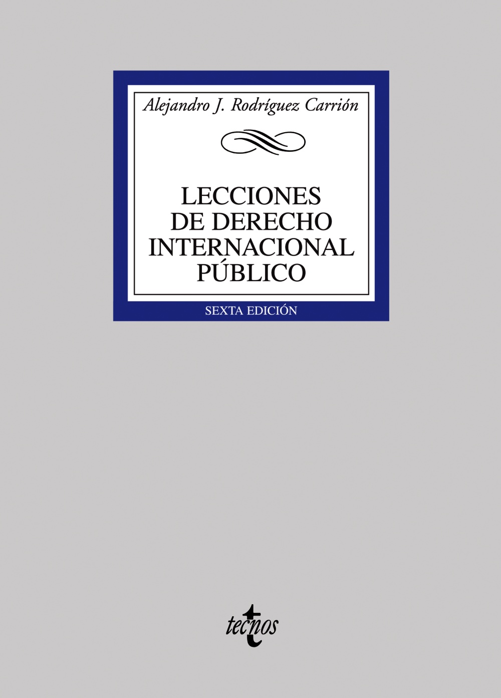 Lecciones de Derecho internacional público. 9788430944477