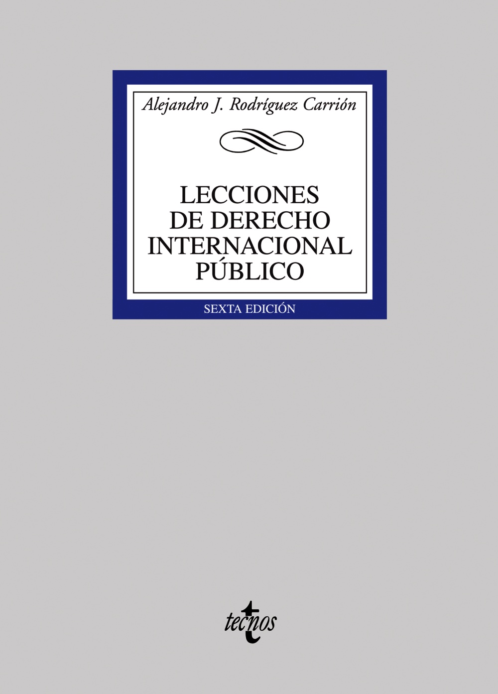 Lecciones de Derecho internacional público. 9788430944477