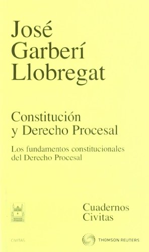 Constitución y Derecho procesal. 9788447032495