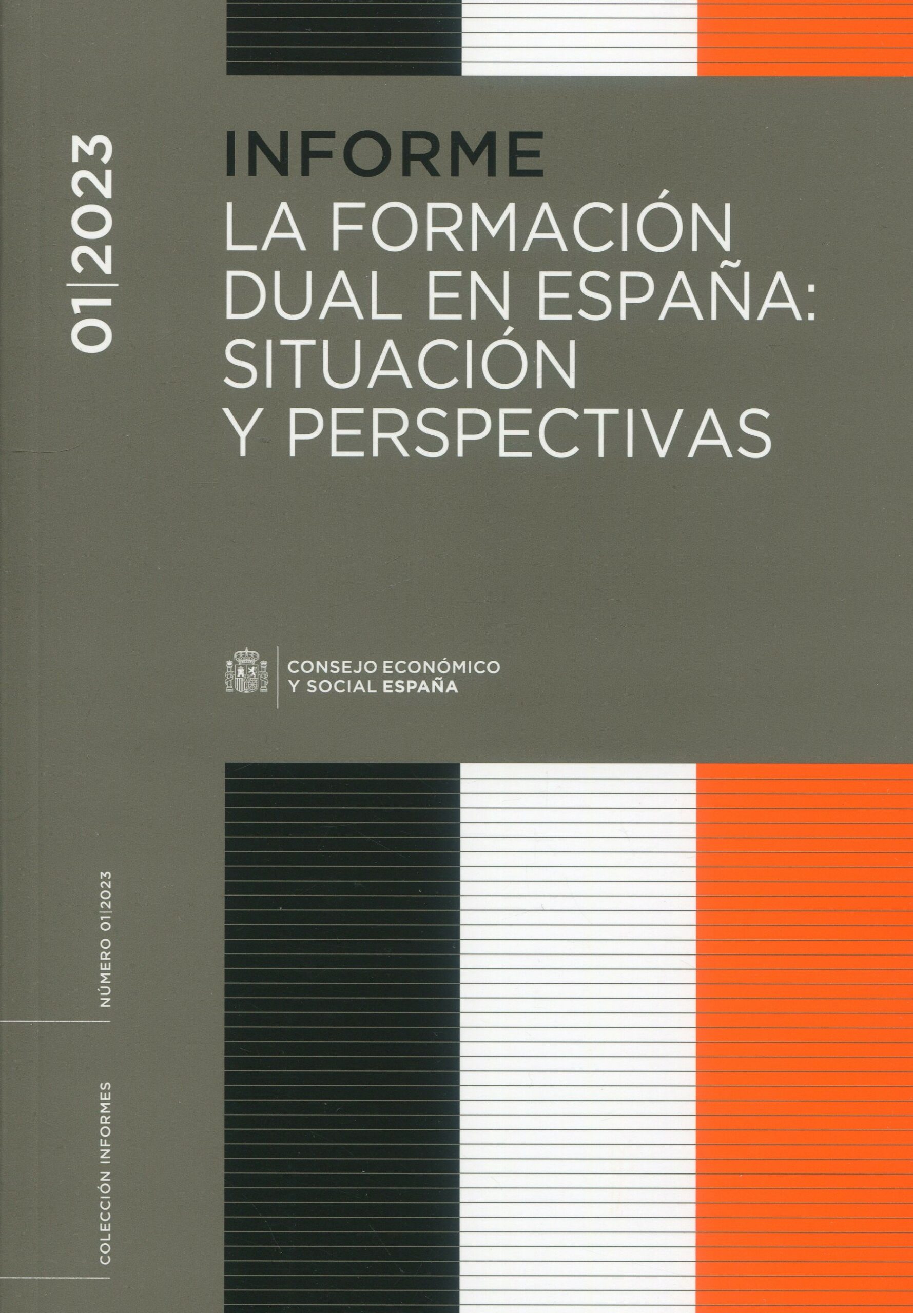 La formación dual en España: situación y perspectivas. 9788481884081