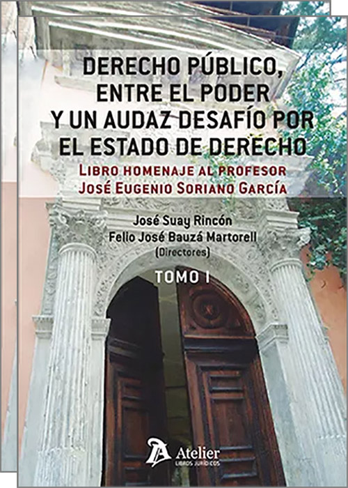 Derecho Público, entre el poder y un audaz desafío por el Estado de Derecho. 9788419773357