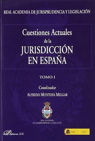 Cuestiones actuales de la jurisdicción en España. 9788498498899