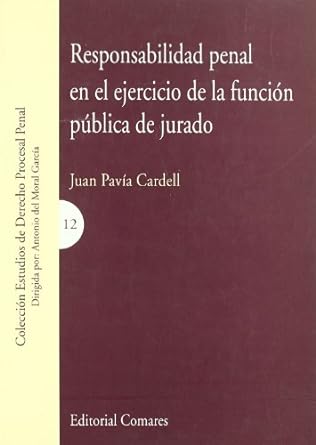 Responsabilidad penal en el ejercicio de la función pública de jurado. 9788484448433