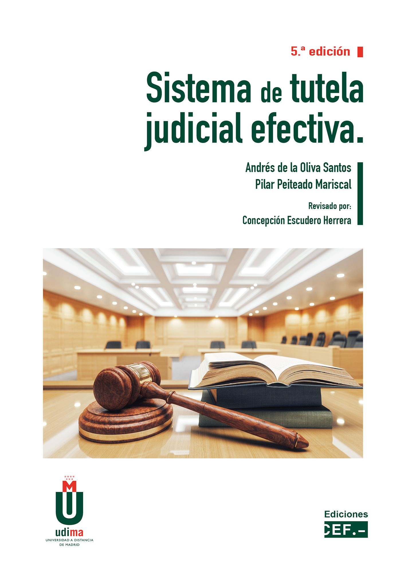 Sistema de tutela judicial efectiva. 9788445446195