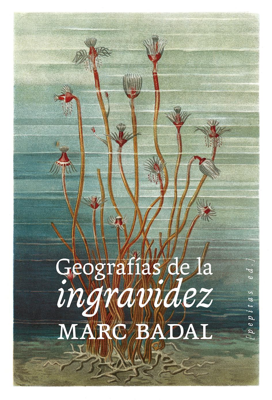 Geografías de la ingravidez. 9788418998669