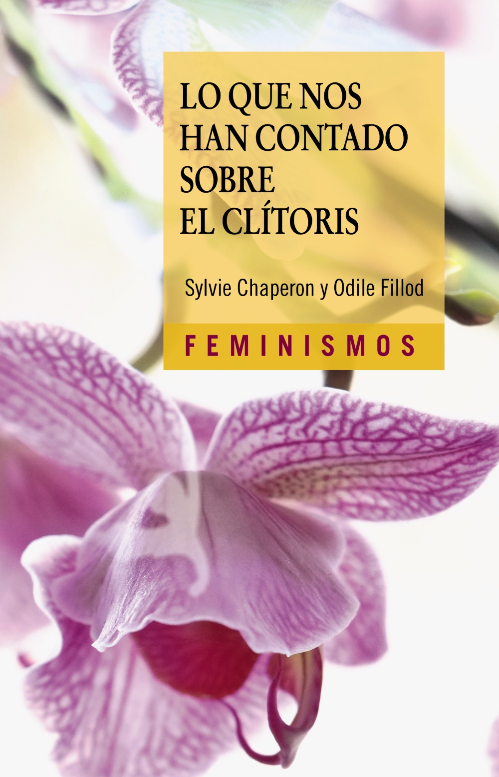Lo que nos han contado sobre el clítoris. 9788437648149