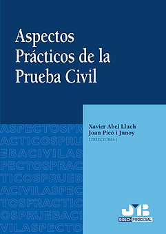 Aspectos prácticos de la prueba civil. 9788476987513
