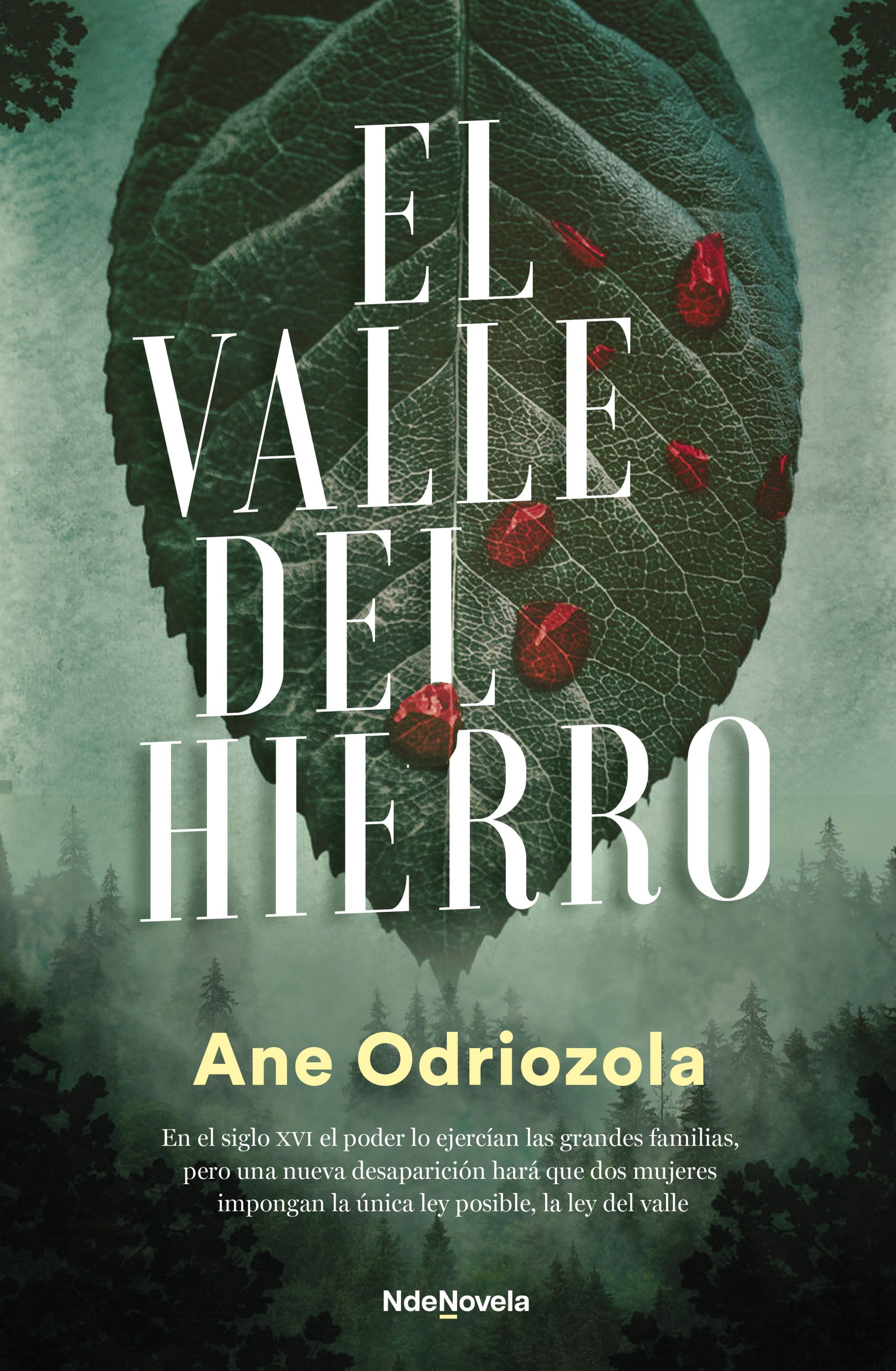 El valle del hierro. 9788410140035