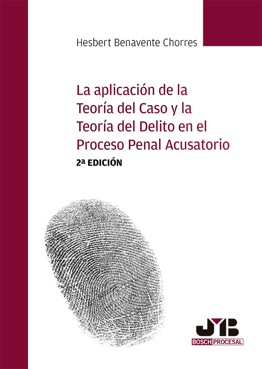 La aplicación de la teoría del caso y la teoría del delito en el proceso penal acusatorio . 9788410044623