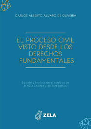 El proceso civil visto desde los derechos fundamentales
