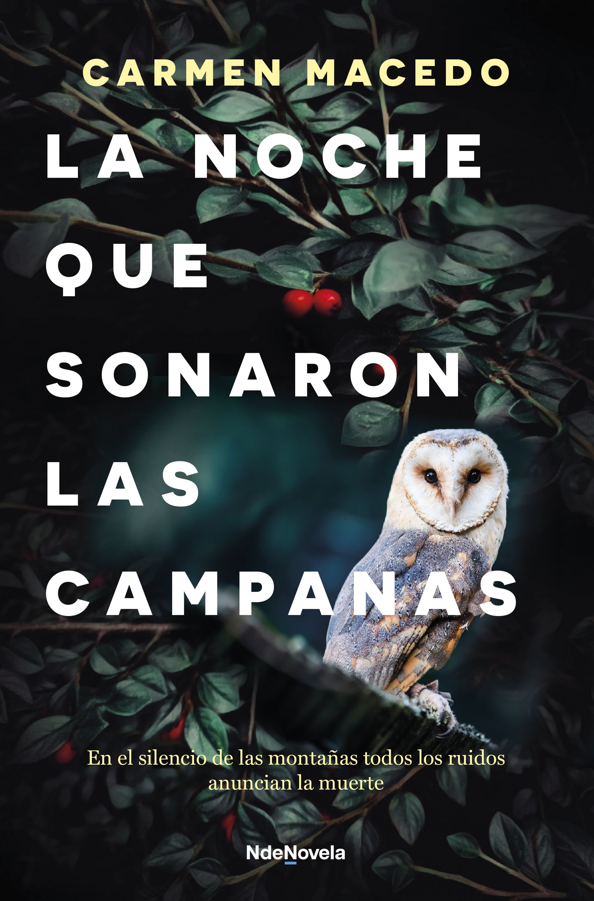 La noche que sonaron las campanas. 9788410140103