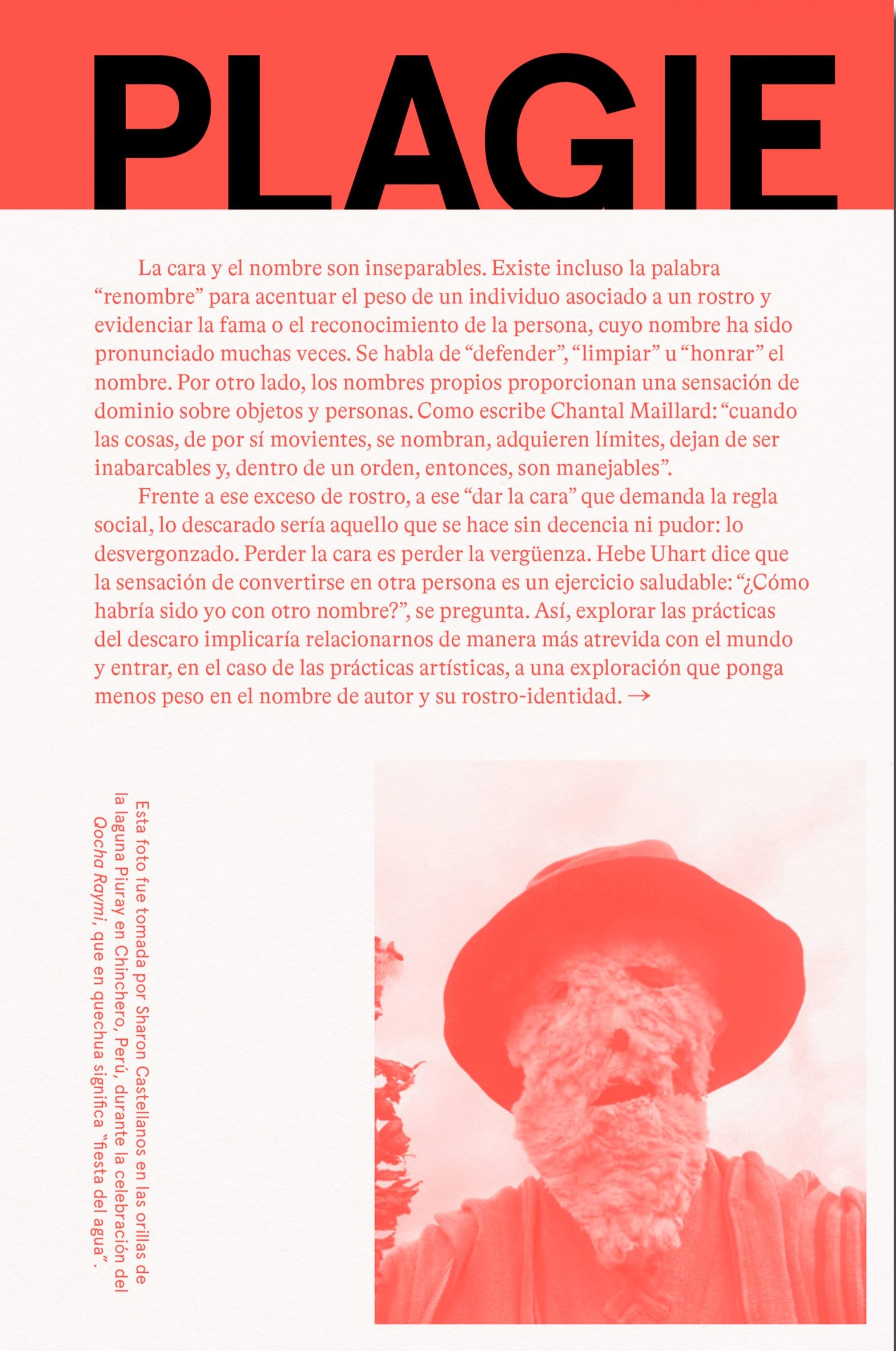 Plagie Copie Manipule Robe Reescriba este libro. 9788409604852