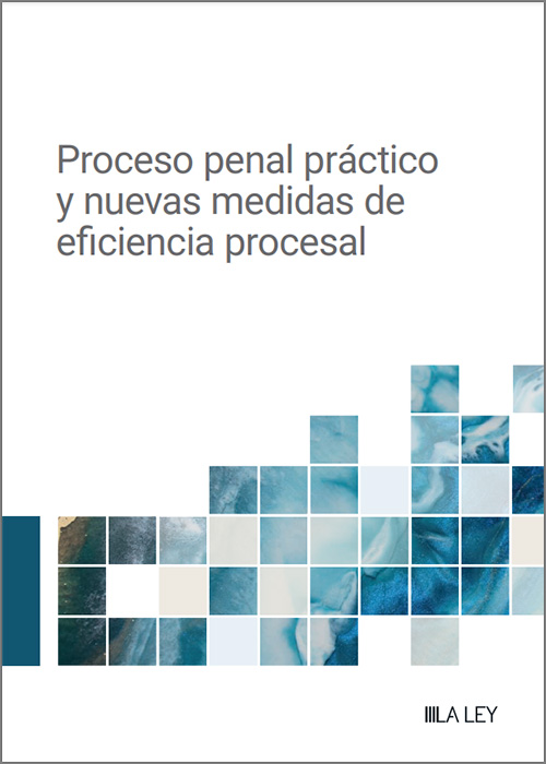 Proceso penal práctico y nuevas medidas de eficiencia procesal. 9788419905918
