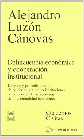 Delincuencia económica y cooperación institucional