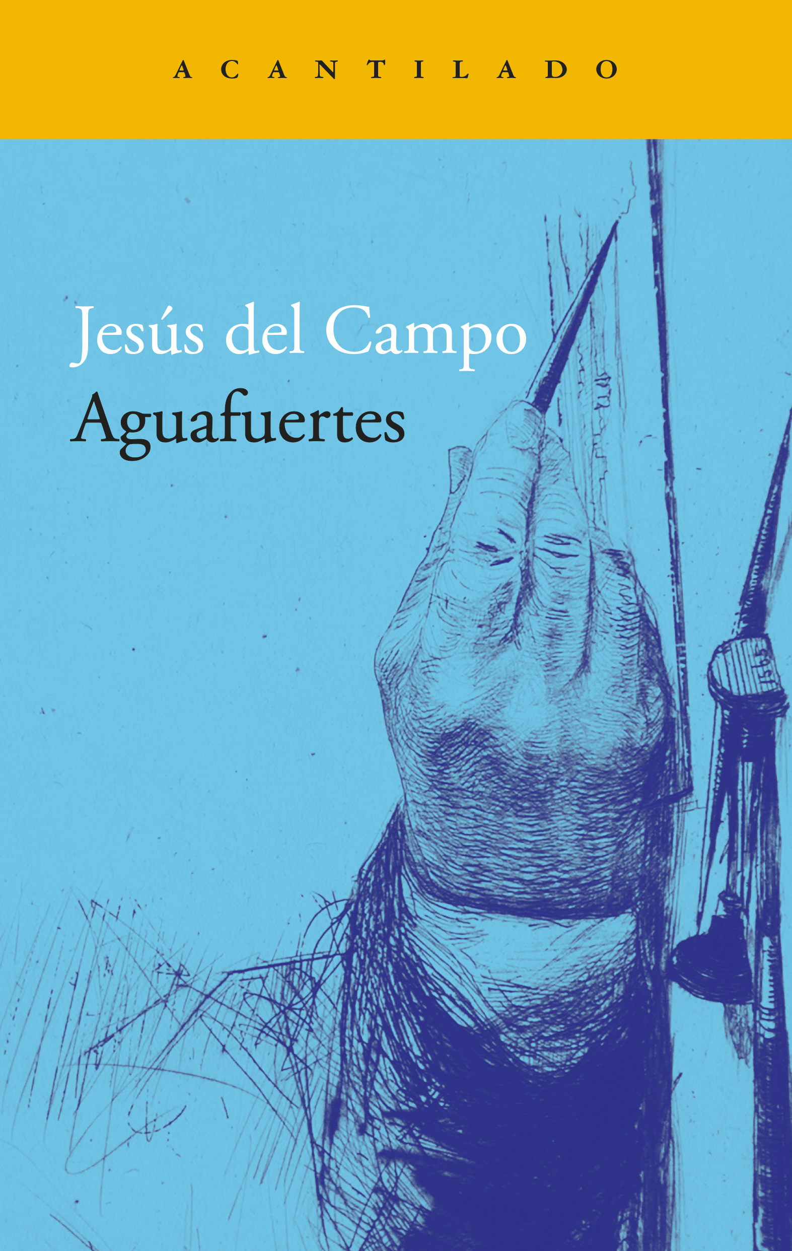 Aguafuertes. 9788419958181
