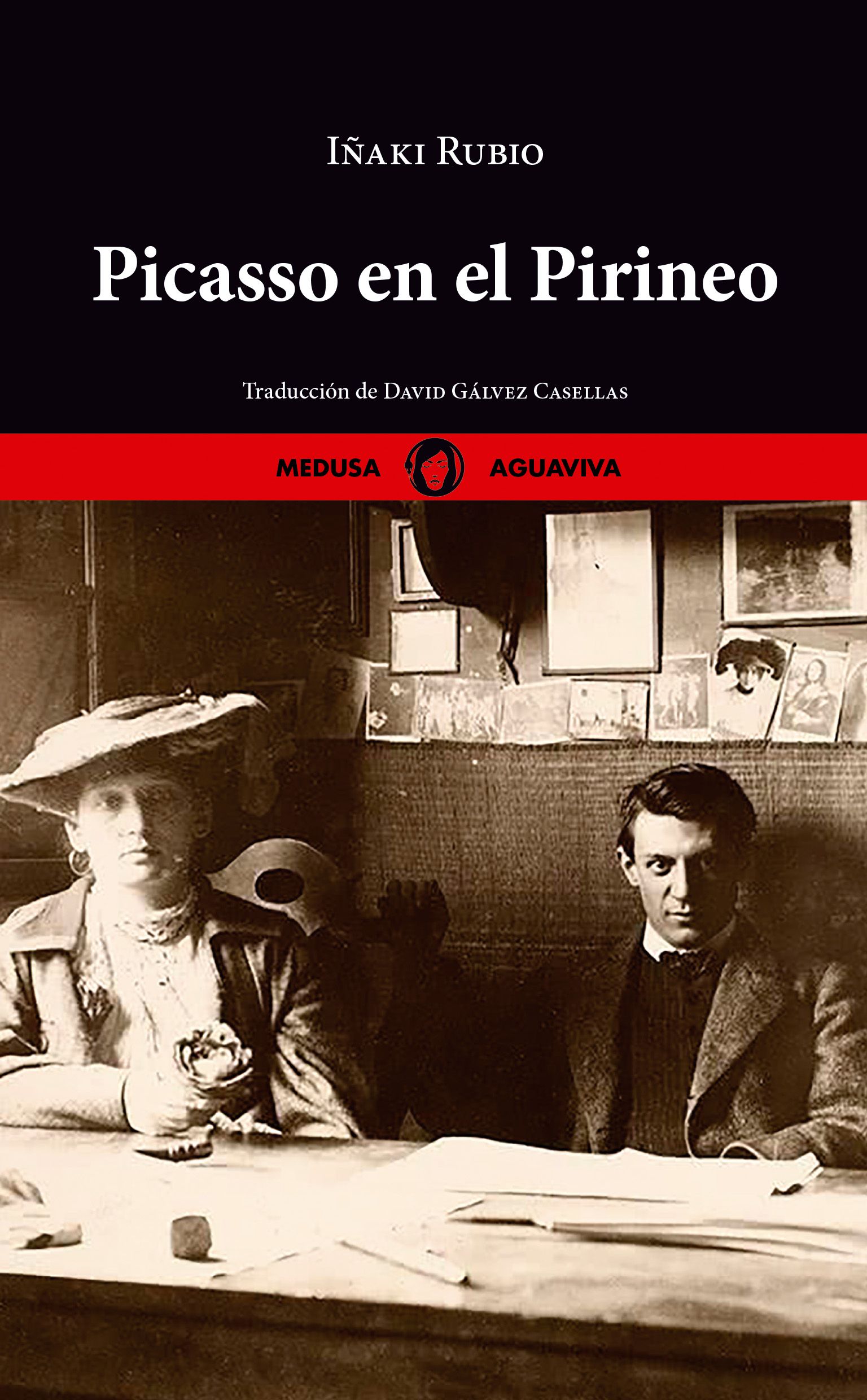 Picasso en el Pirineo. 9788419202208