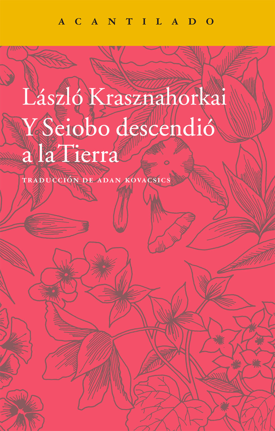 Y Seiobo descendió a la Tierra. 9788416011452