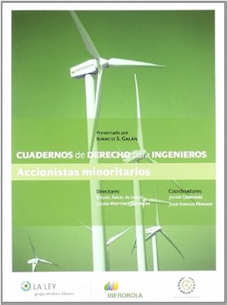 Accionistas minoritarios. 9788481269932