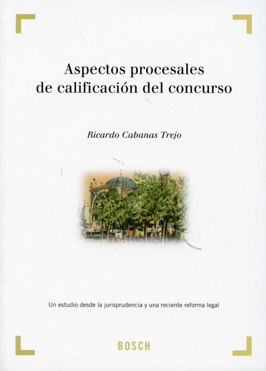Aspectos procesales de calificación del concurso. 9788497905015