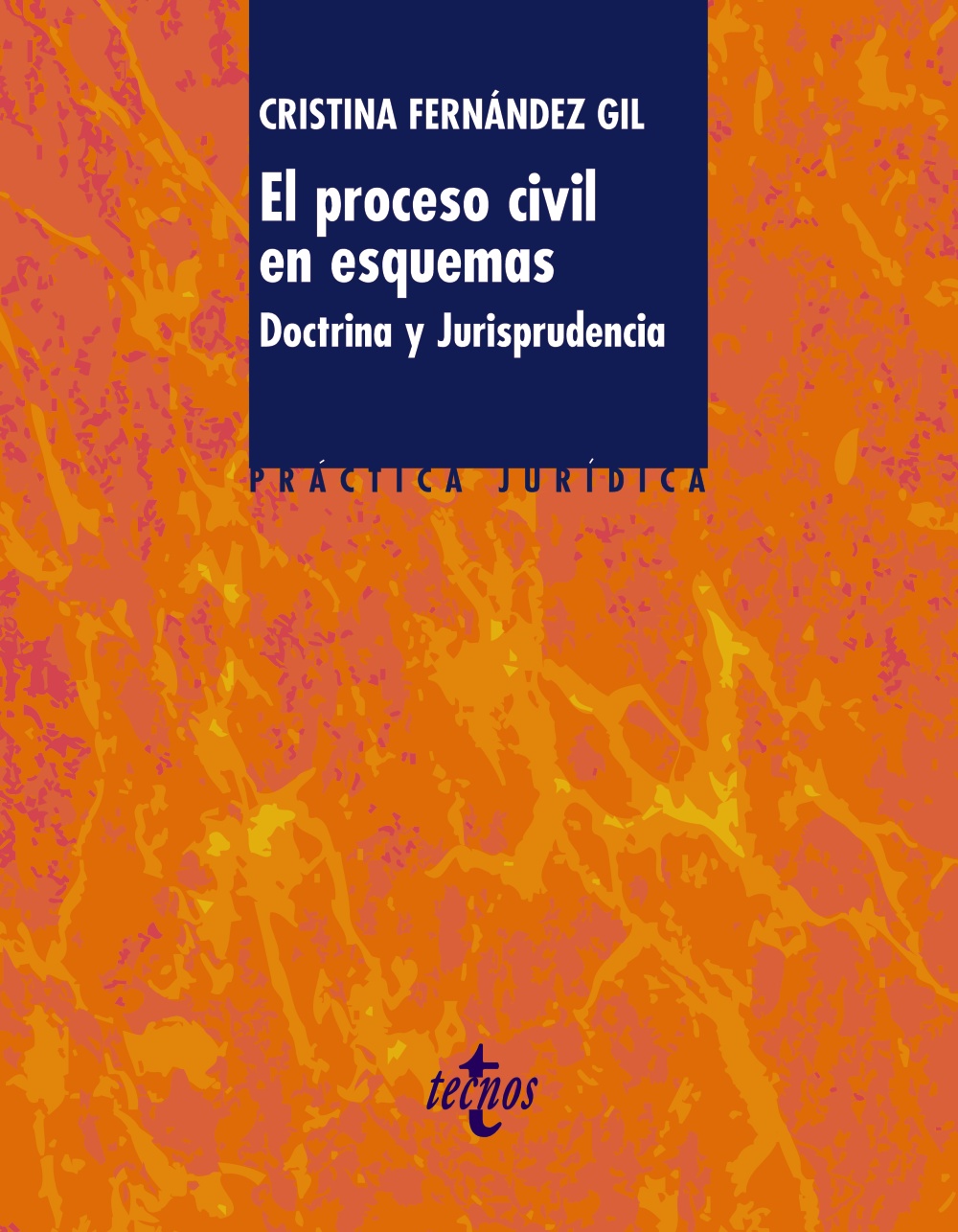 El proceso civil en esquemas. 9788430954681