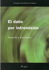 El daño por intromisión