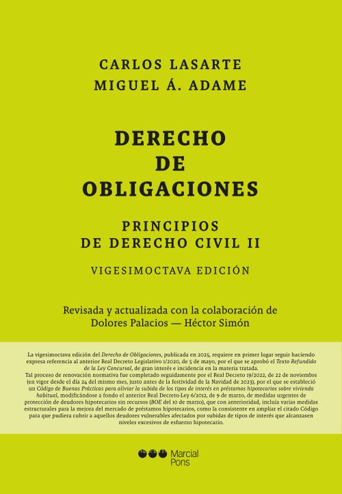 Principios de Derecho Civil. 9788413819495